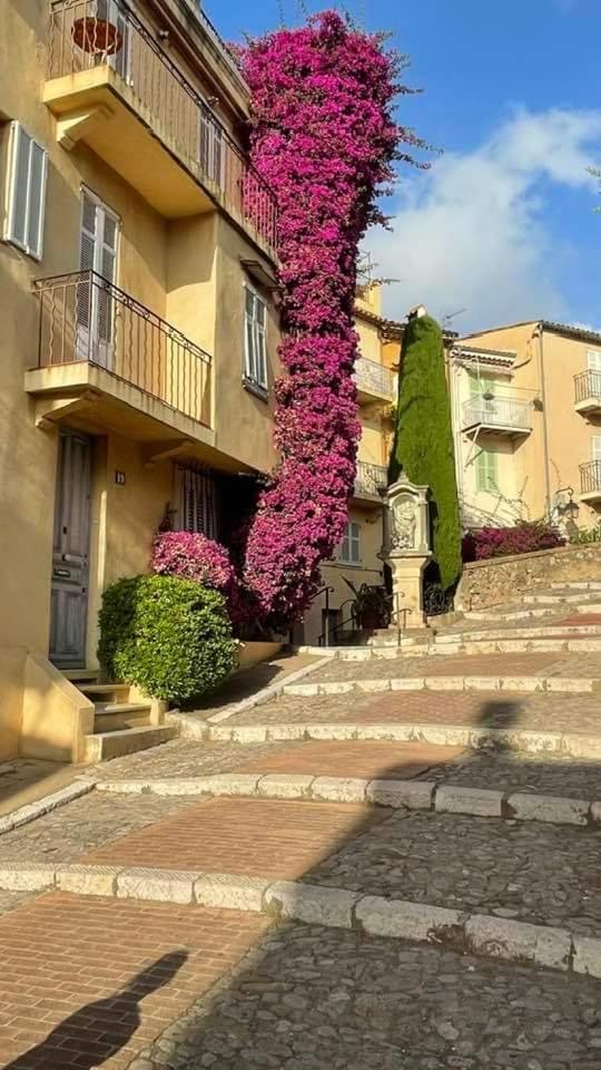 Cannes & More Exterior photo